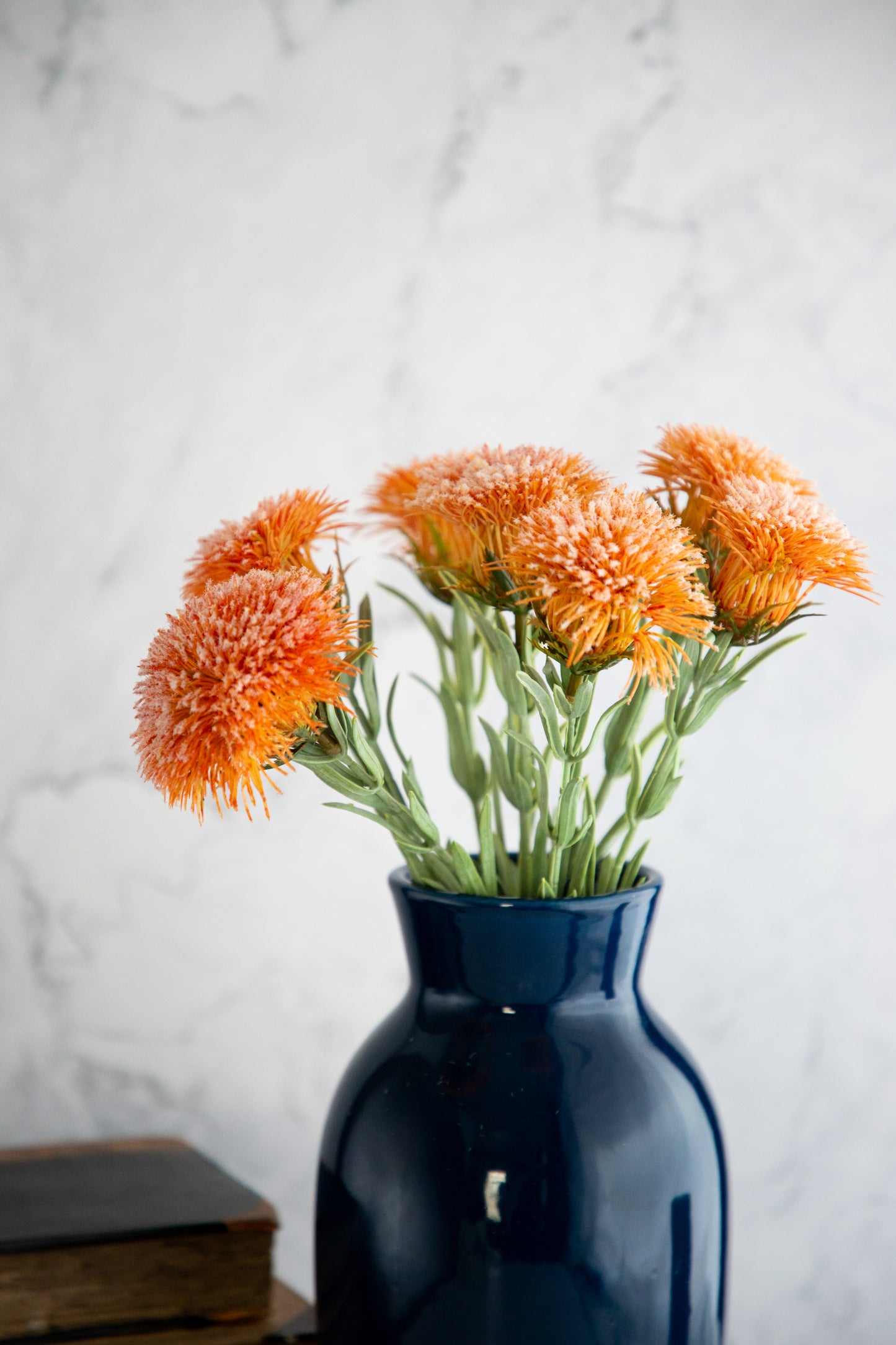 Thistle Bush - Orange