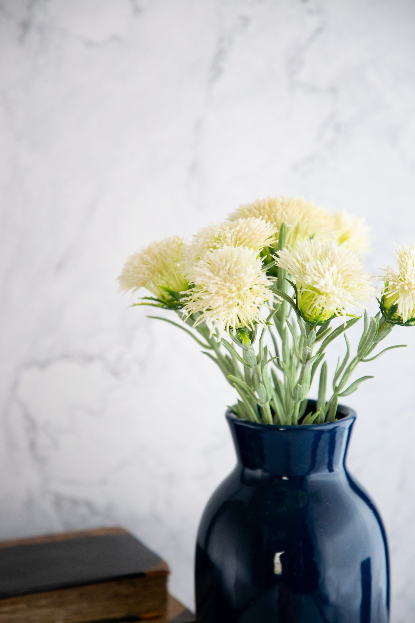 Thistle Bush - Cream