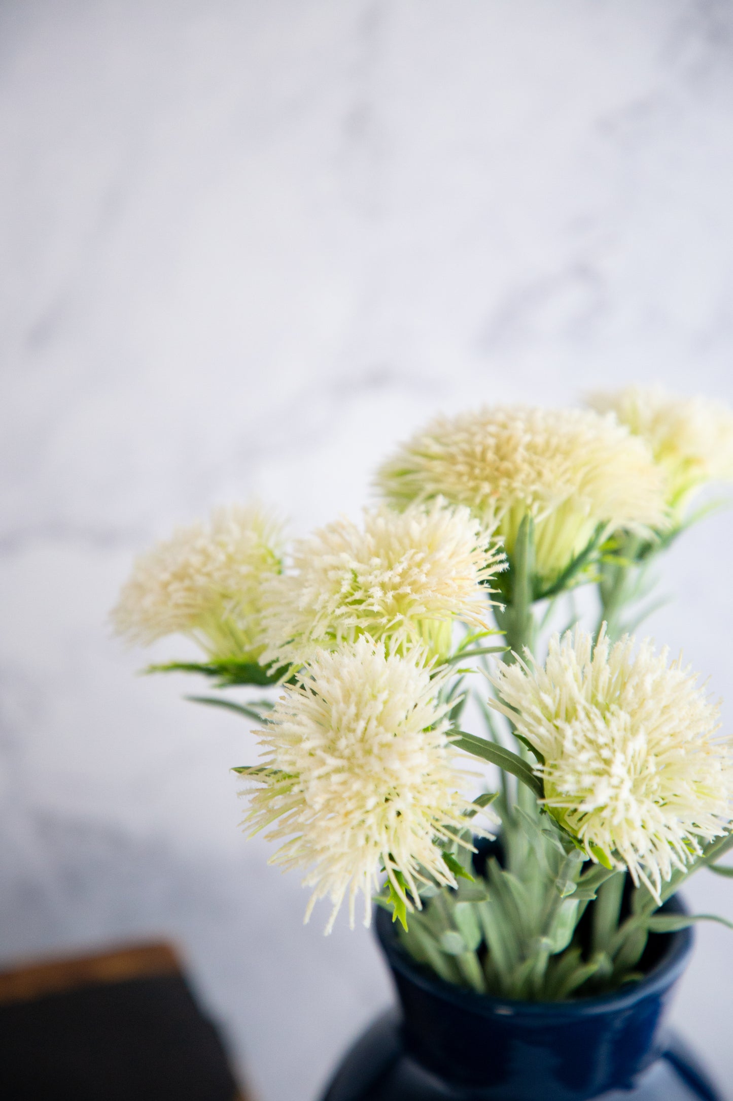 Thistle Bush - Cream