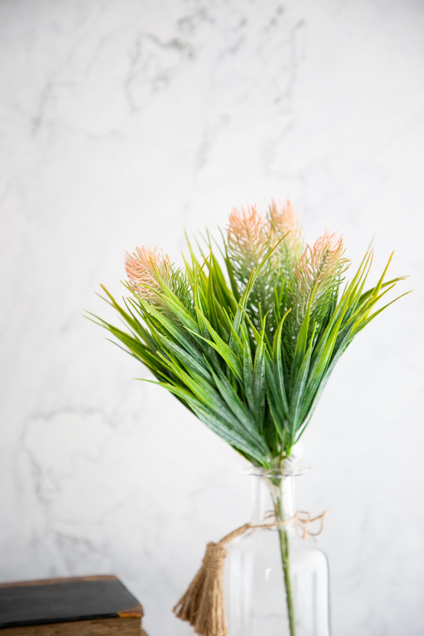 Thistle Grass Bush - Pink Tip
