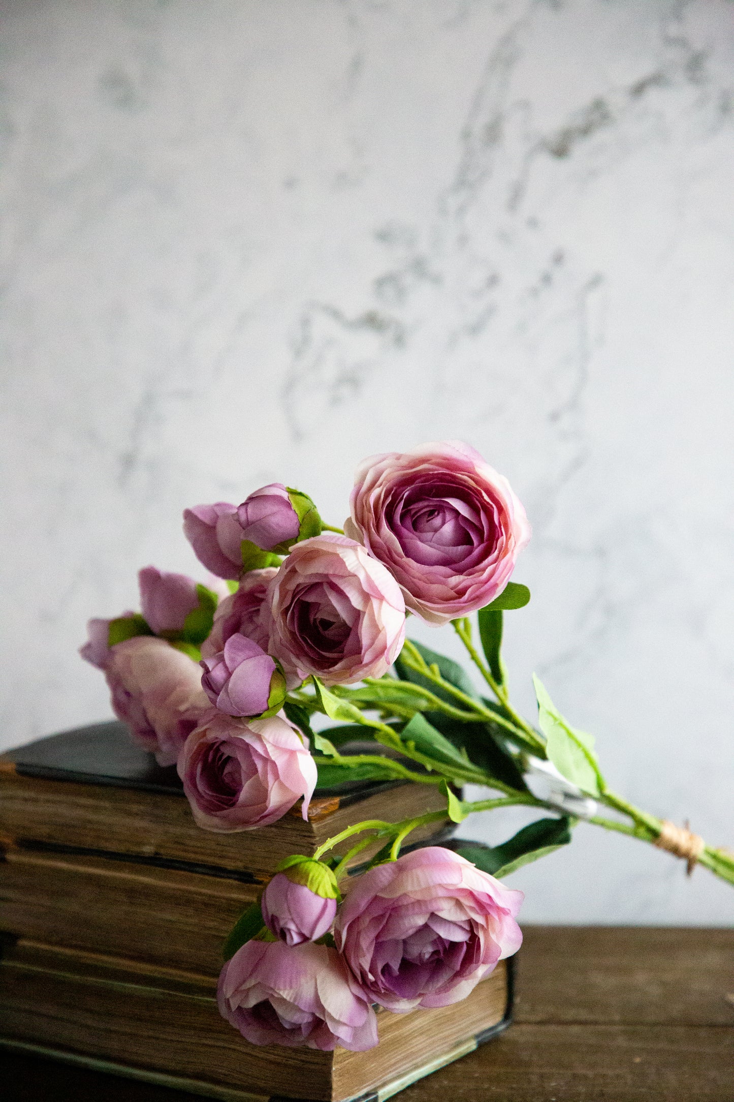 Ranunculus - Lavender 17"