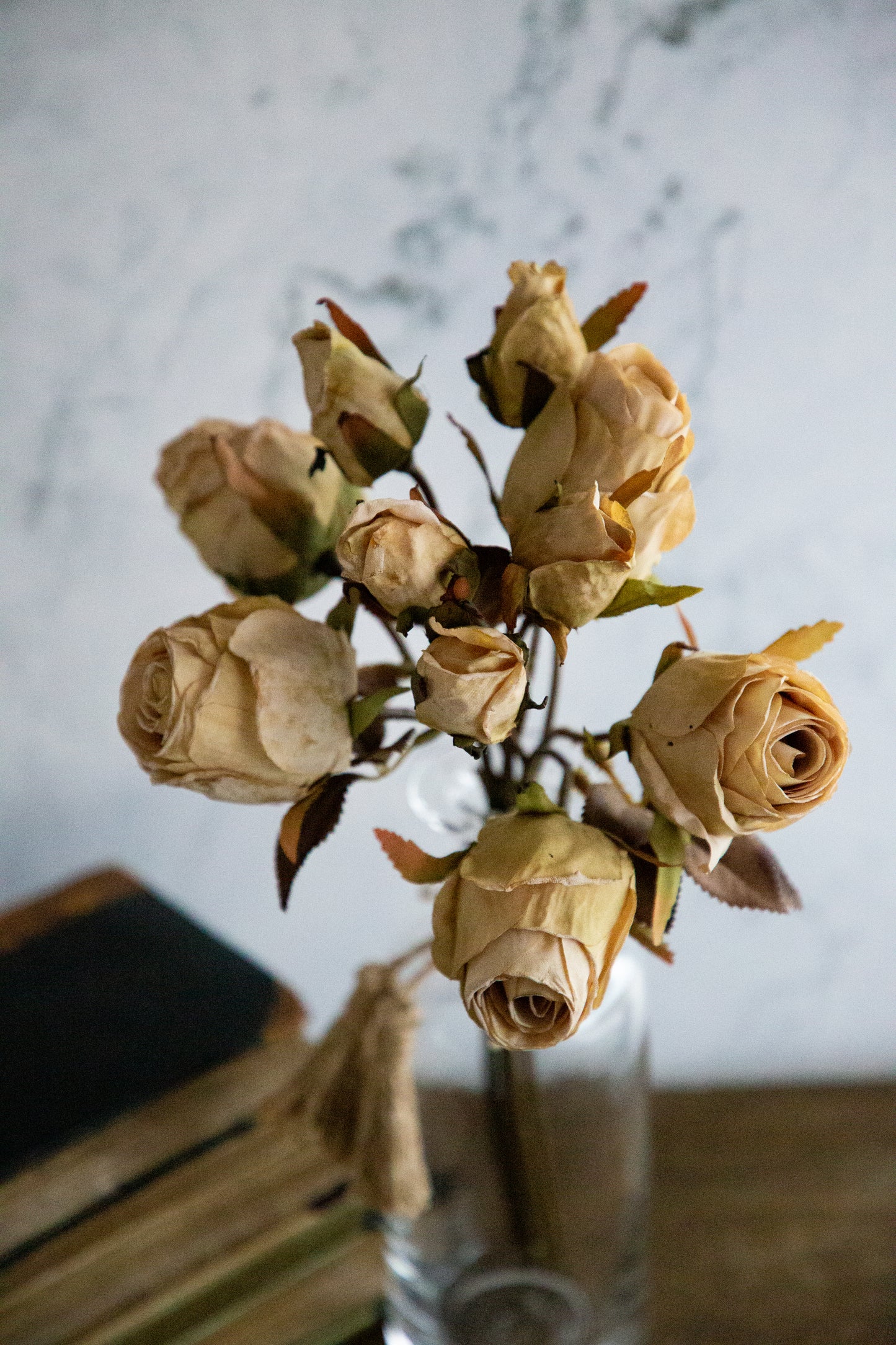 Rose Boho Bundle - Beige