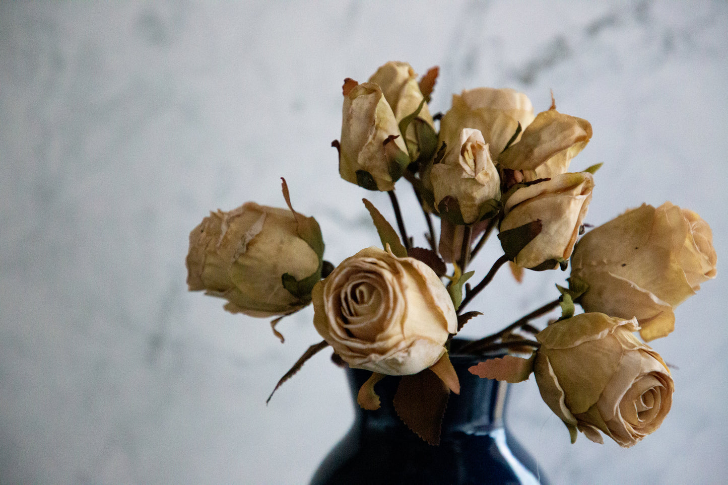 Rose Boho Bundle - Beige