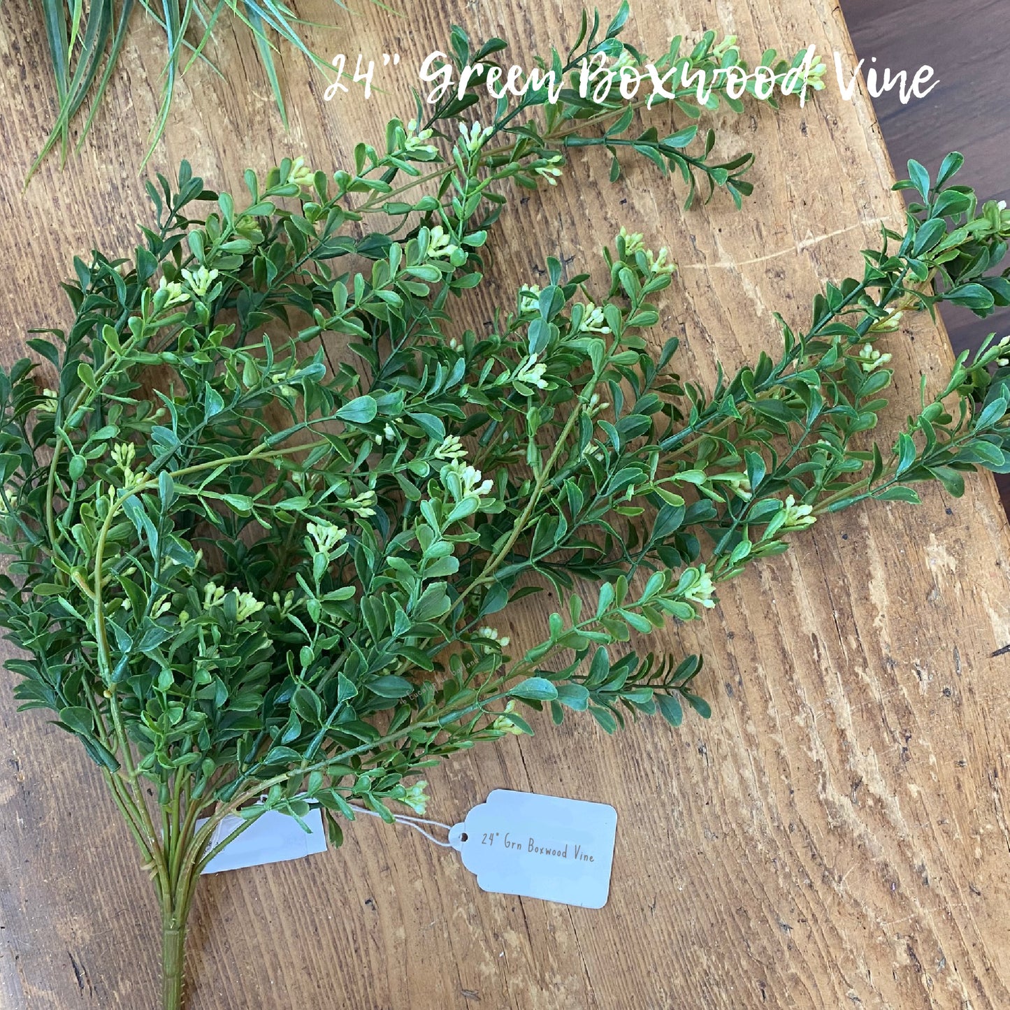 Boxwood Vine - Green 24"