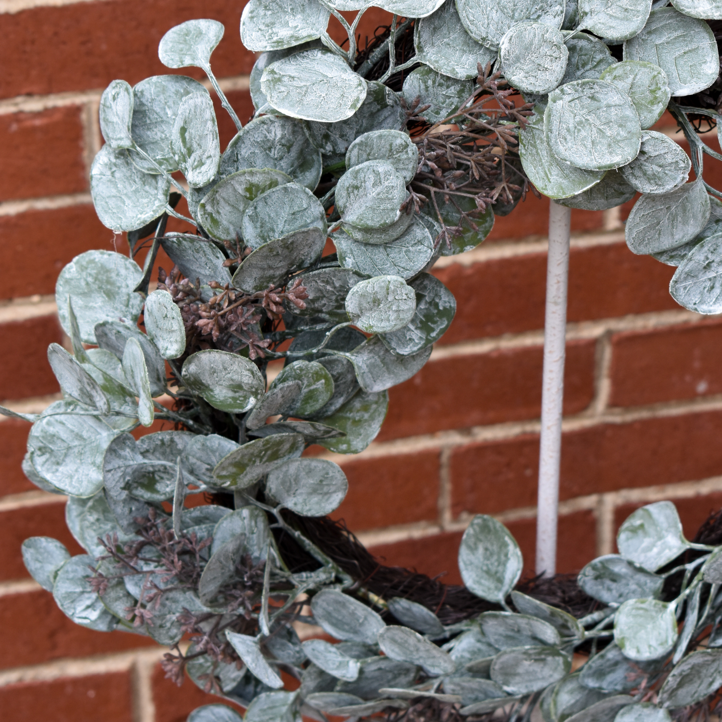 Eucalyptus Wreath - 29"