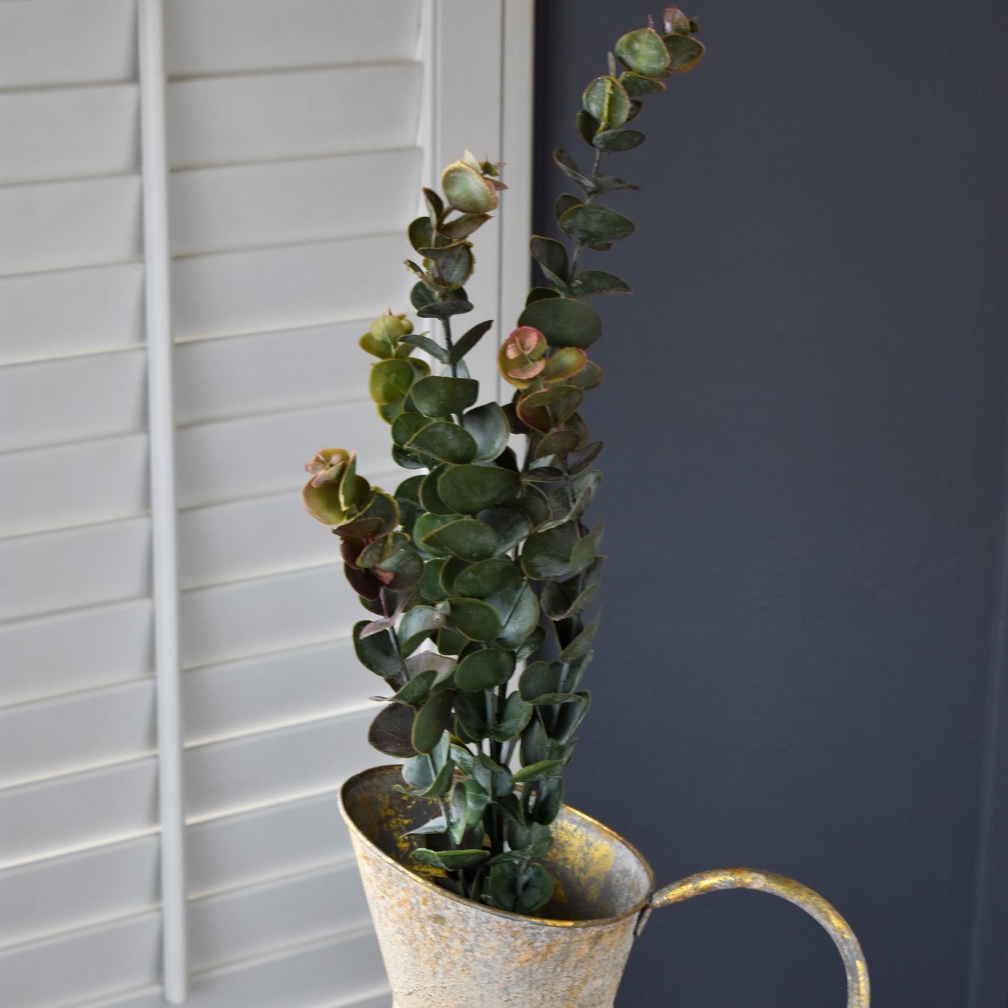 Eucalyptus Spray - Tipped 29.5"