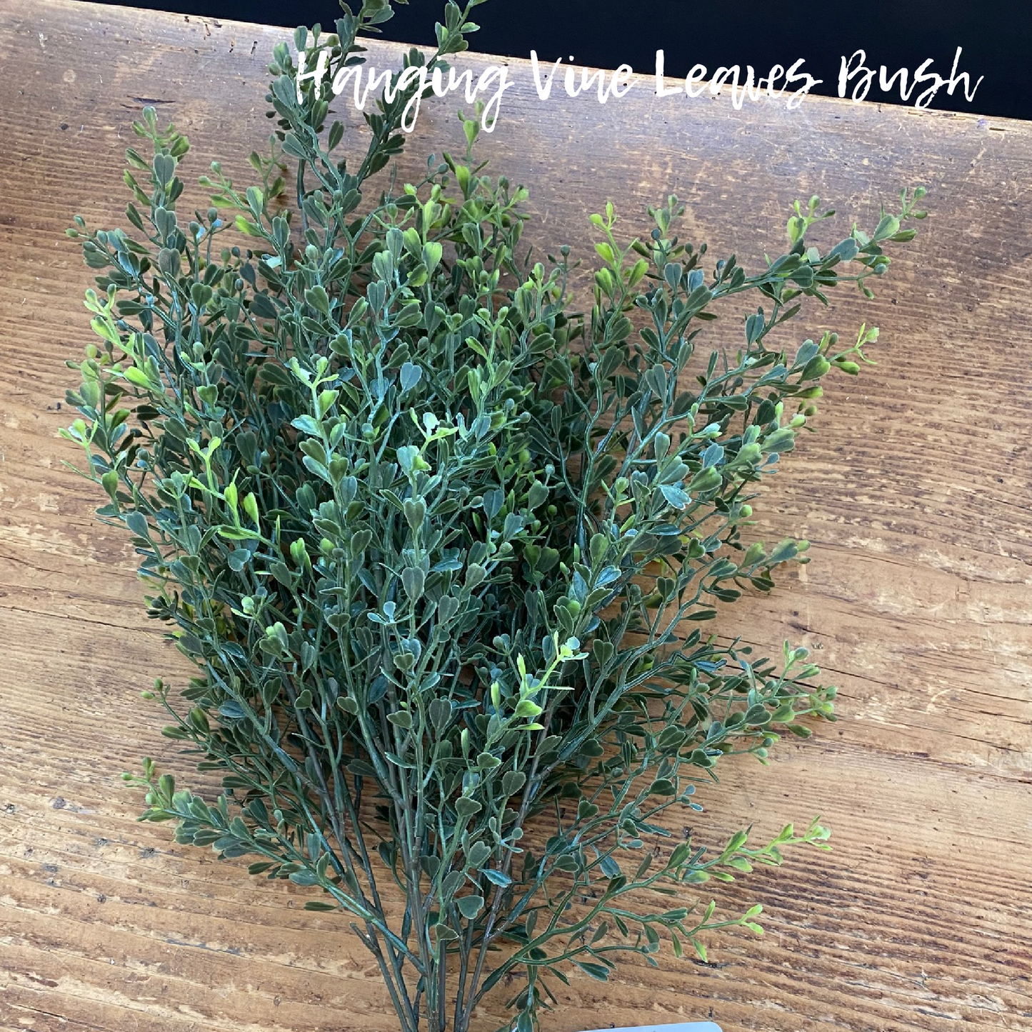 Hanging Vine Leaves Bush