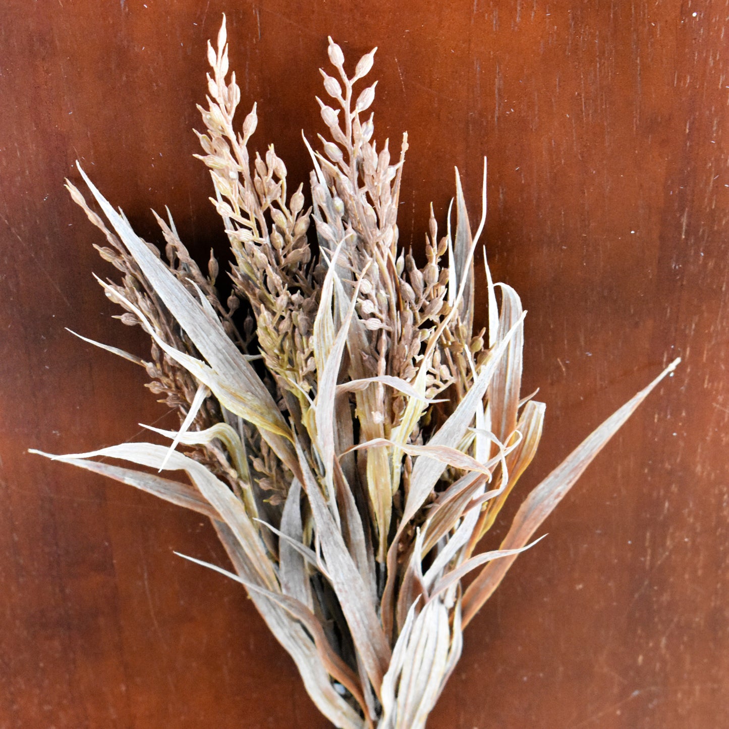 Dracena Wheat Marinata Bush 16.5"
