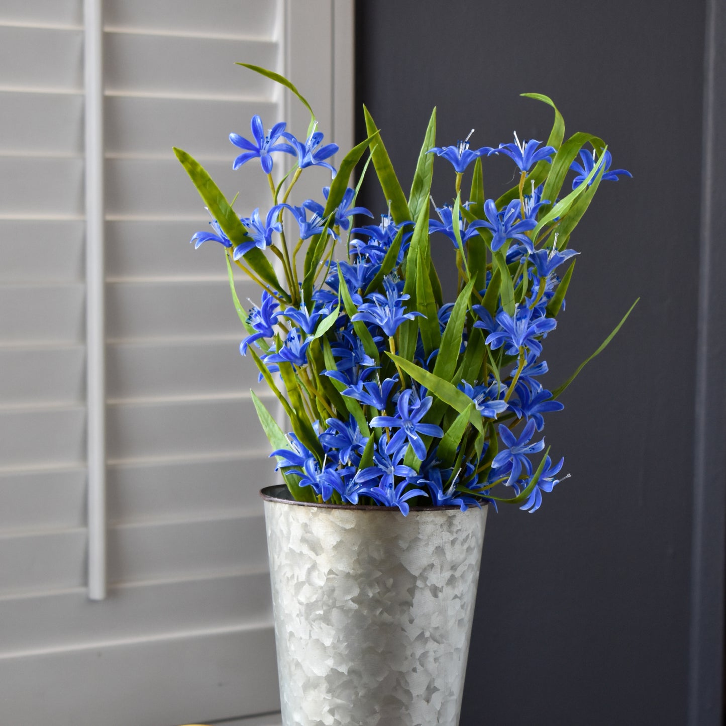 Lily Mini Bush - Blue