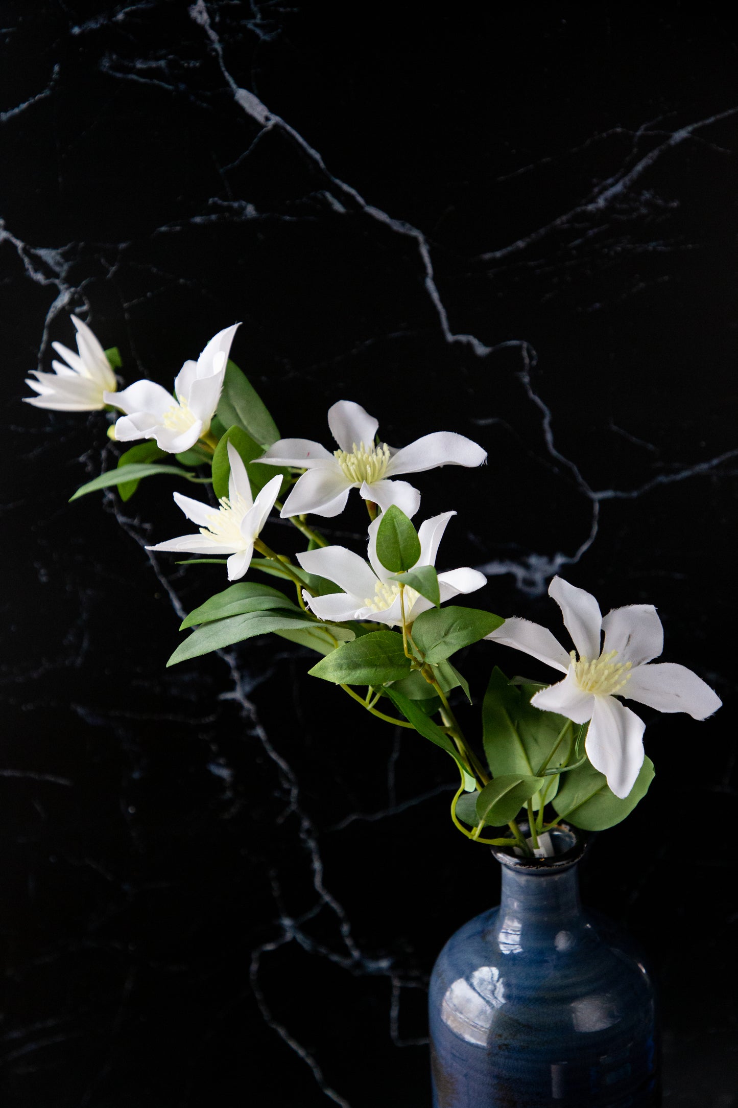 White Clematis Spray