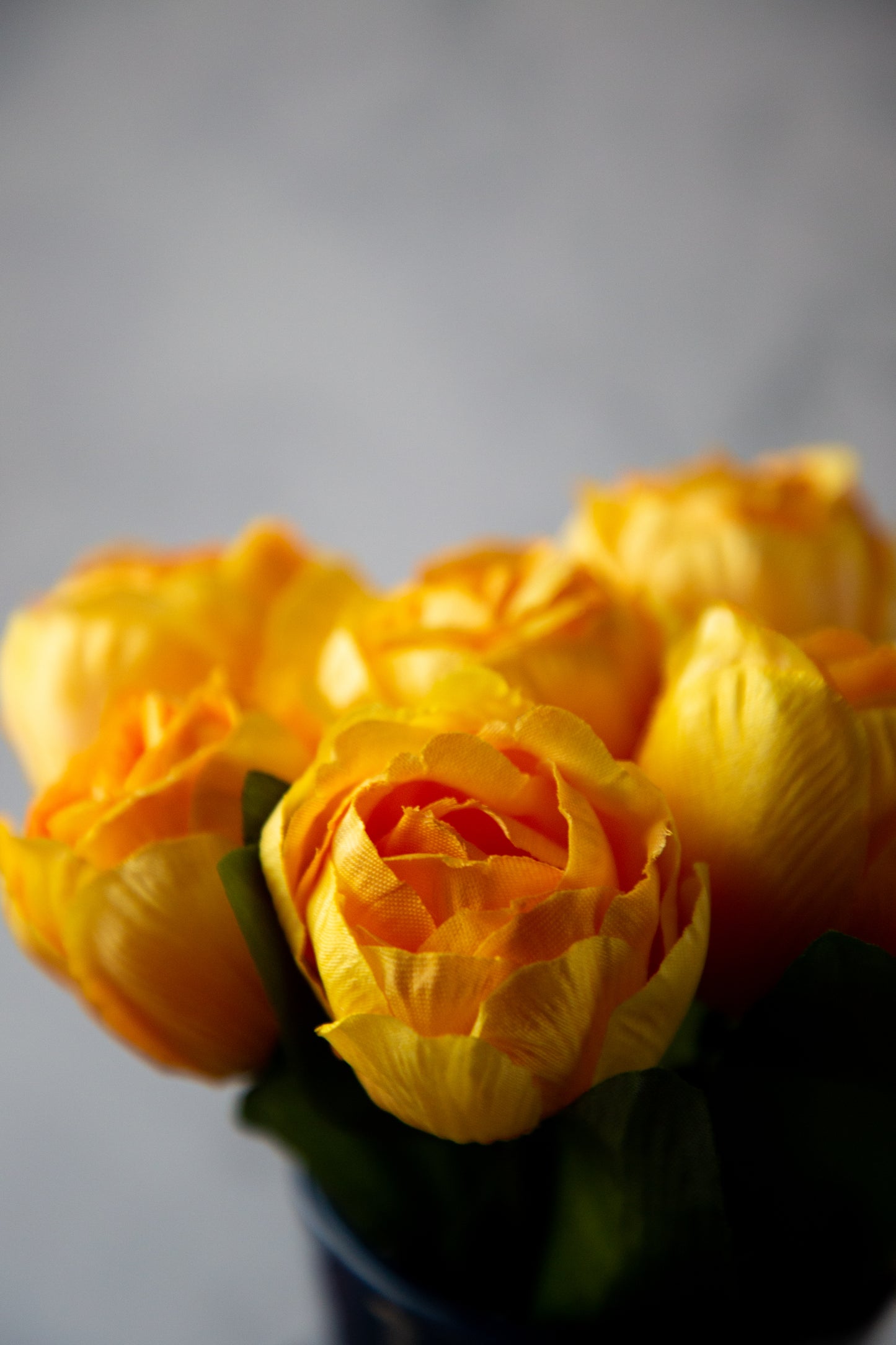 Tulip Mini Bundle - yellow