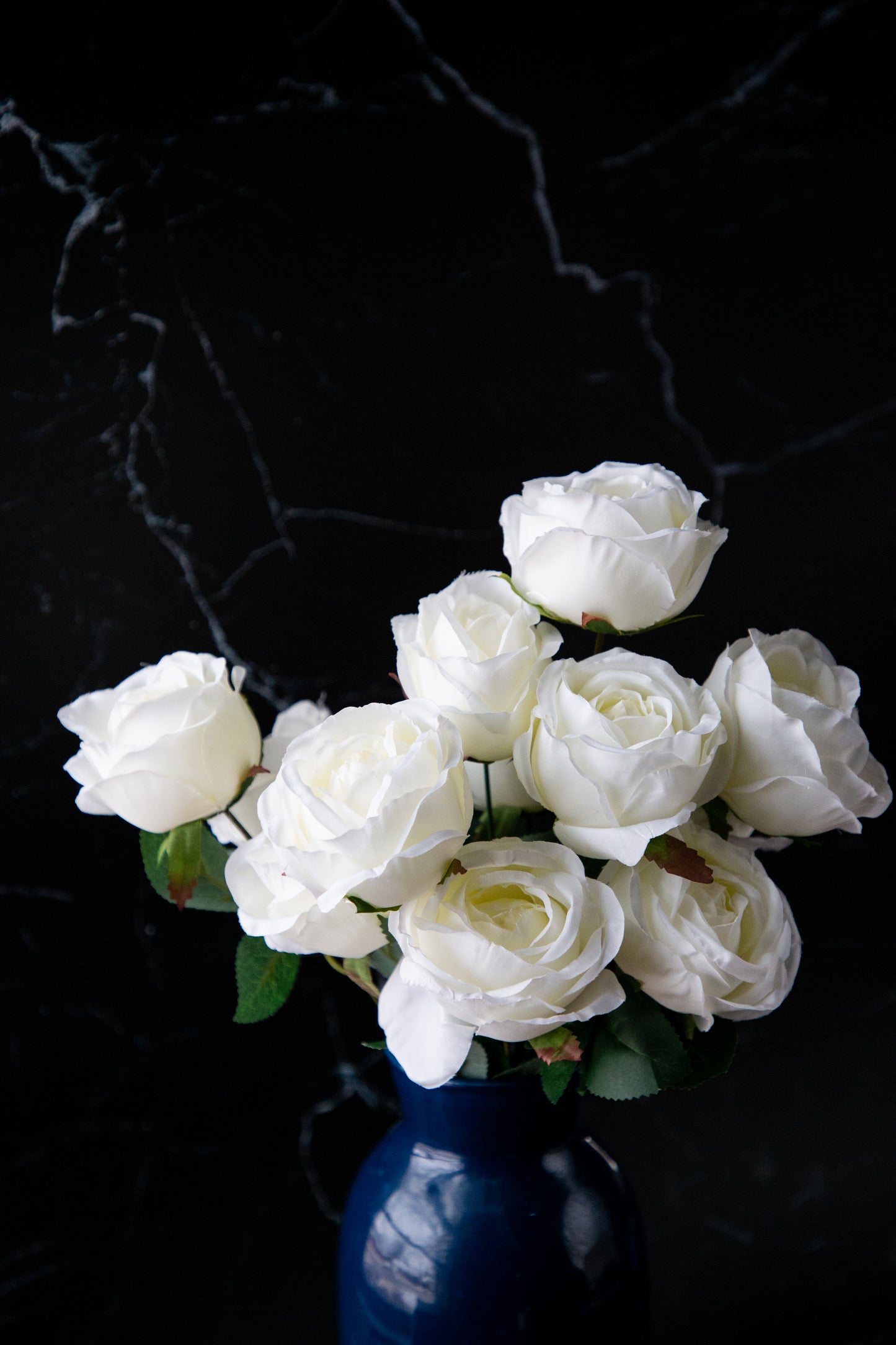 Rose Bush - White