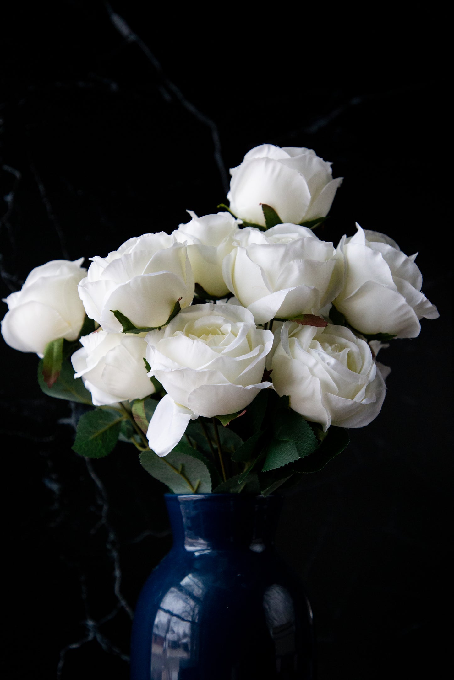 Rose Bush - White