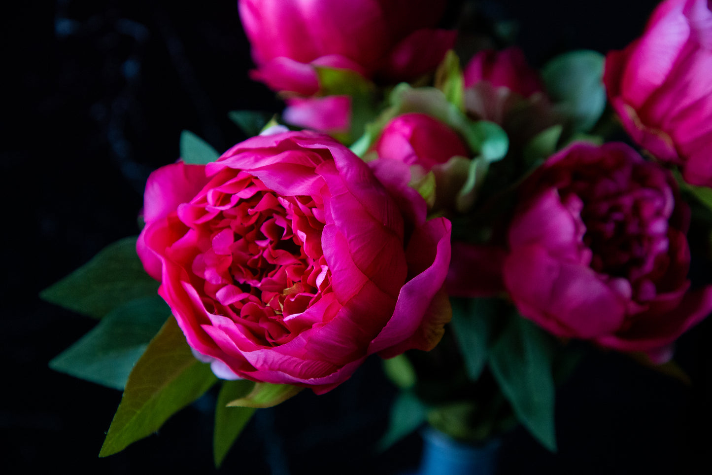 Peony Bush - Dark Pink 23"