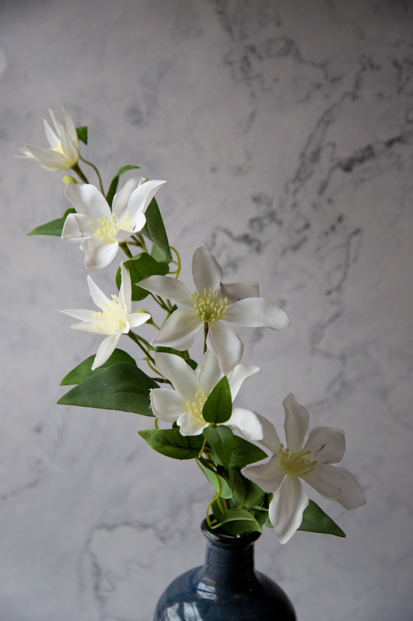 White Clematis Spray