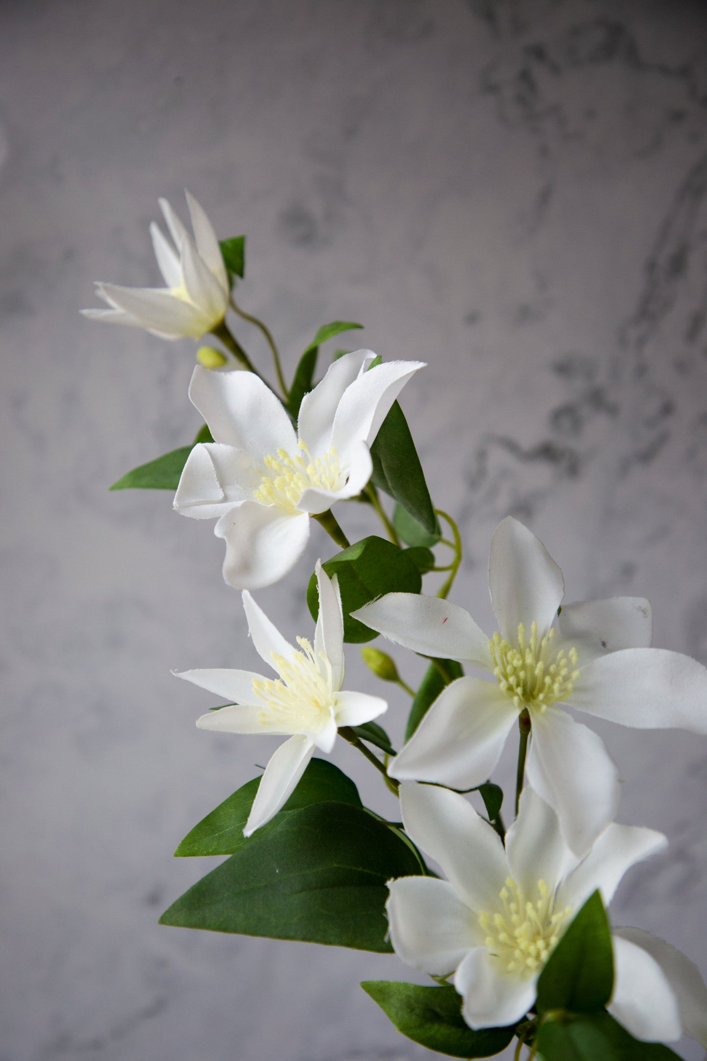 White Clematis Spray