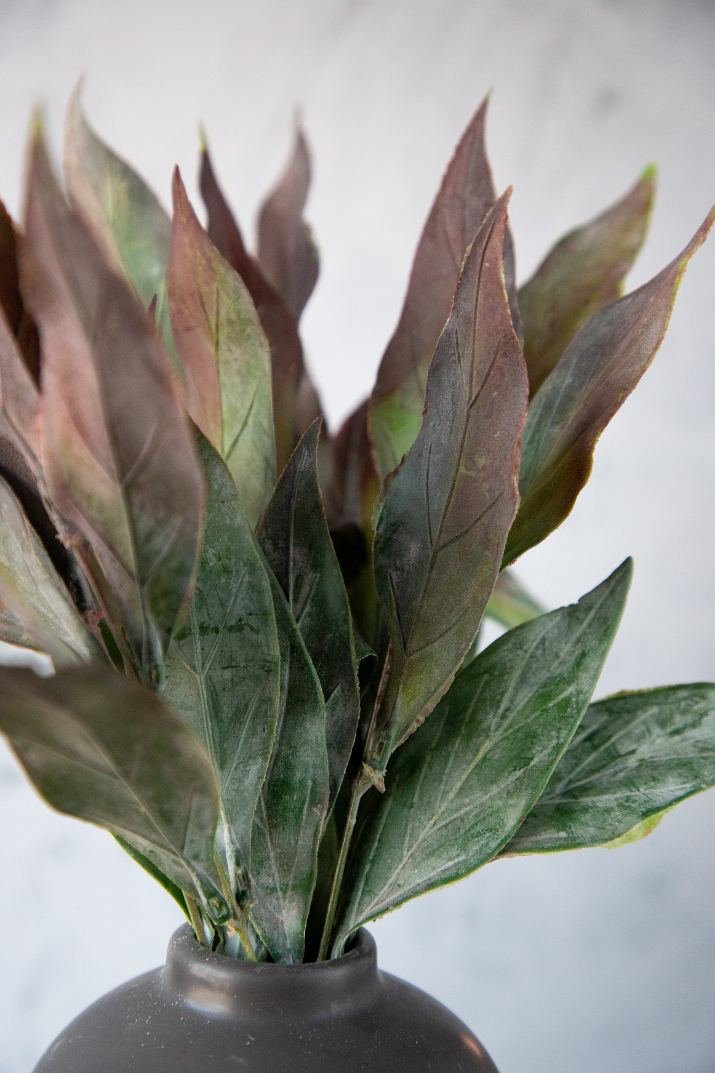 Leaves Bush