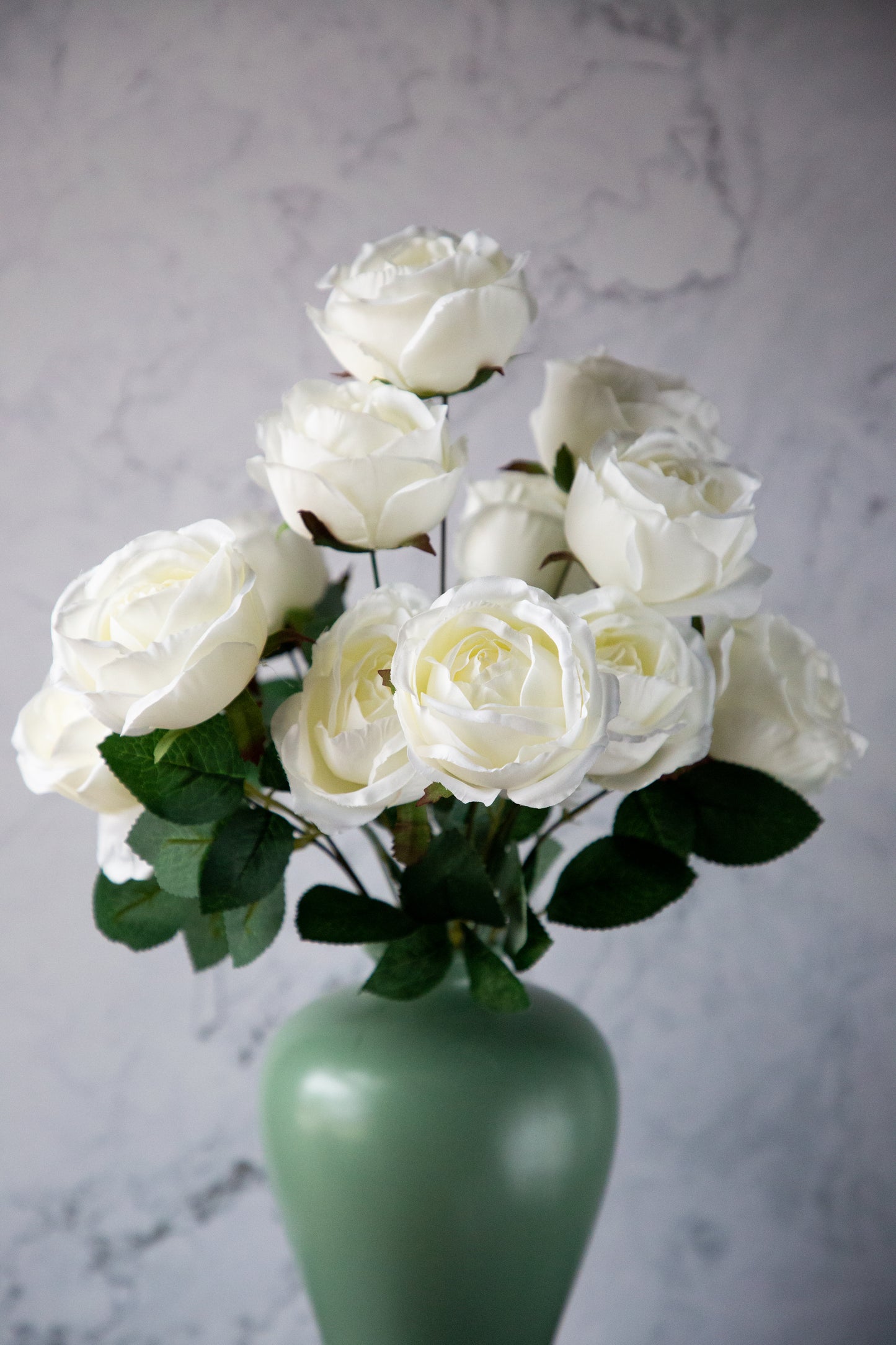 Rose Bush - White
