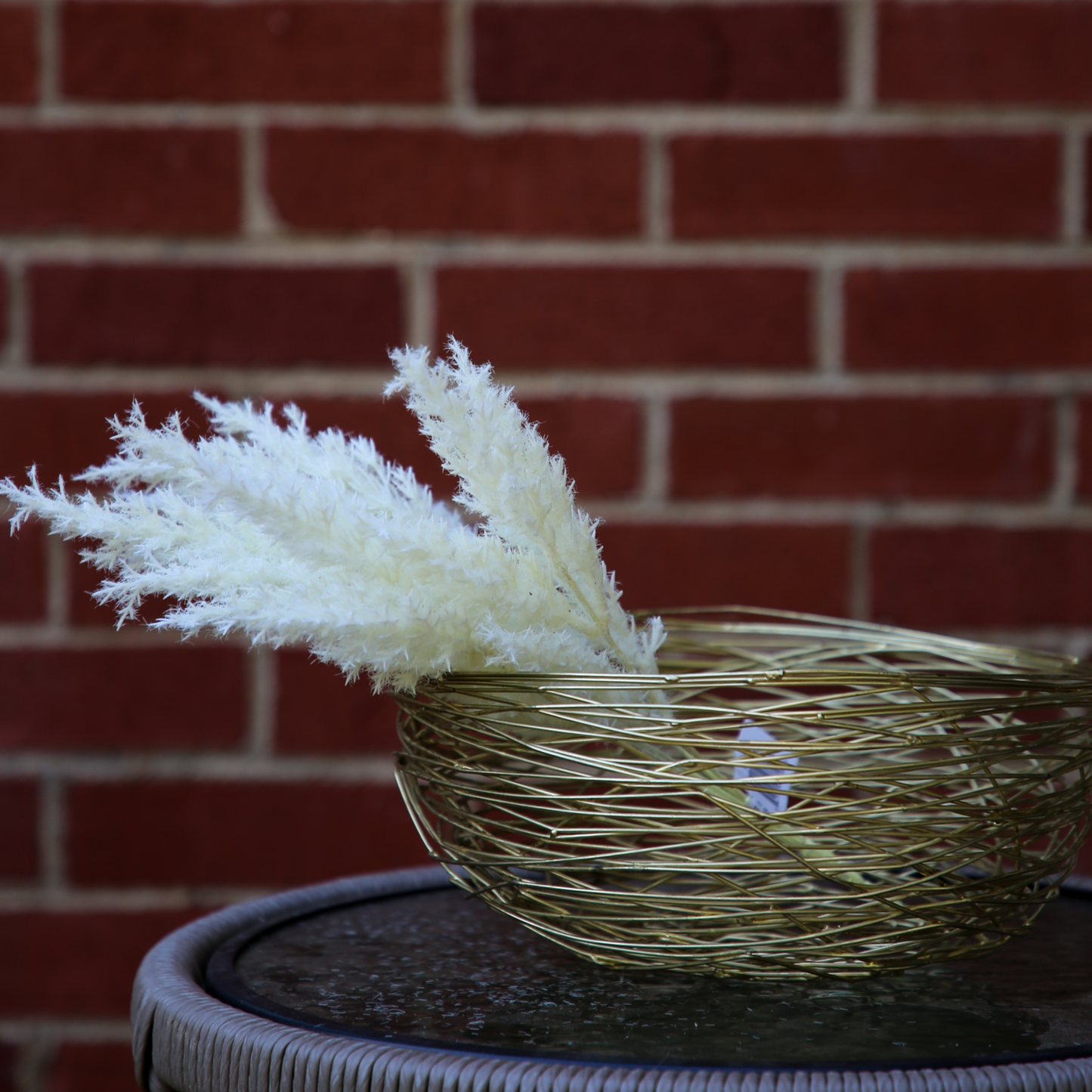 Cream Pampas Grass 15"
