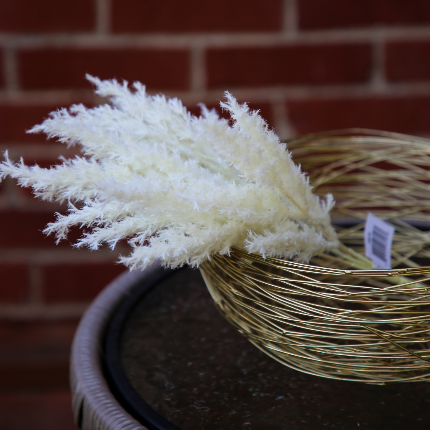 Cream Pampas Grass 15"