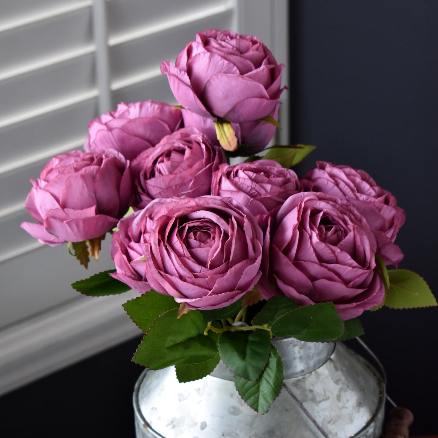 Cabbage Rose - Violet