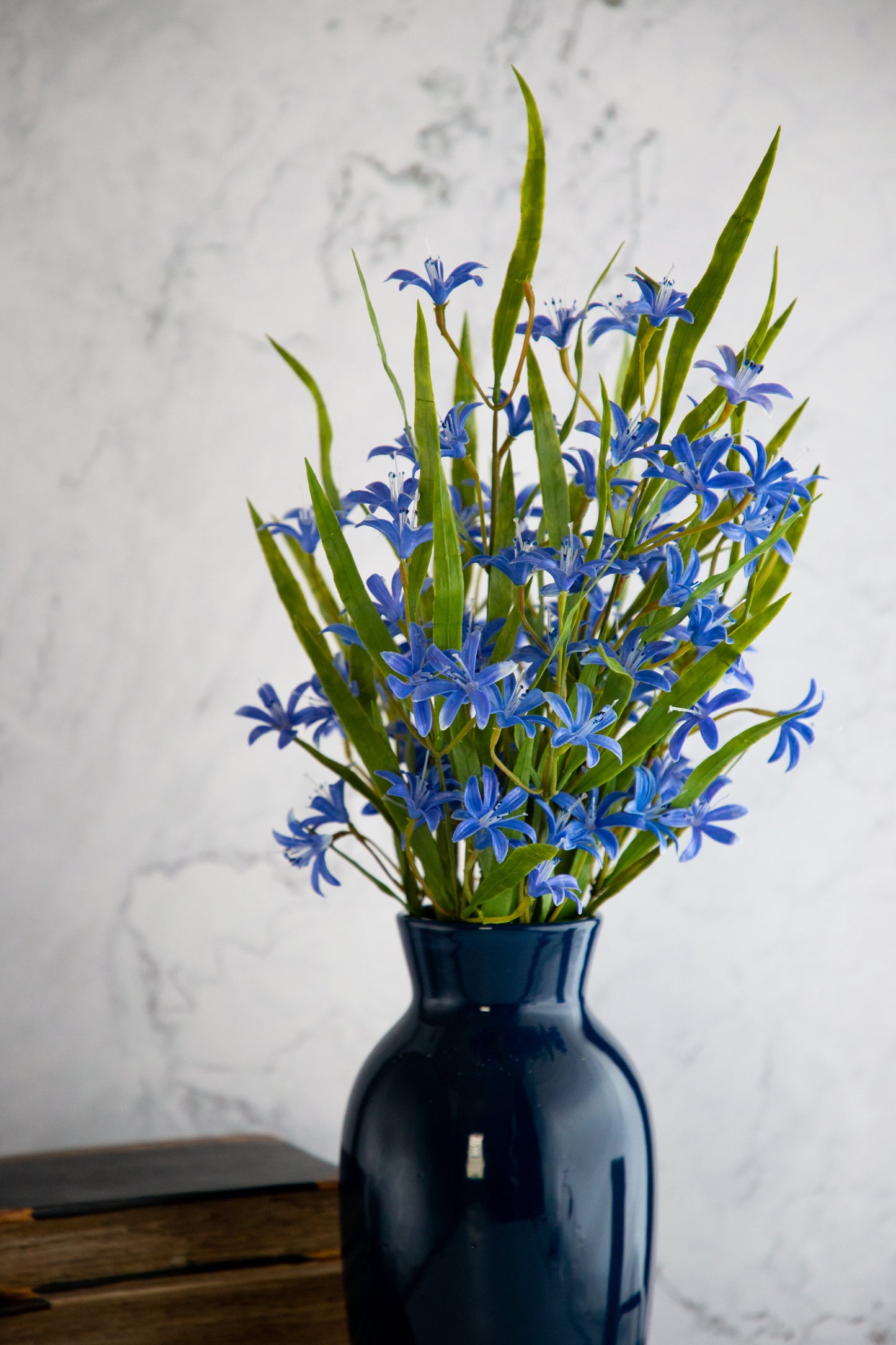 Lily Mini Bush - Blue