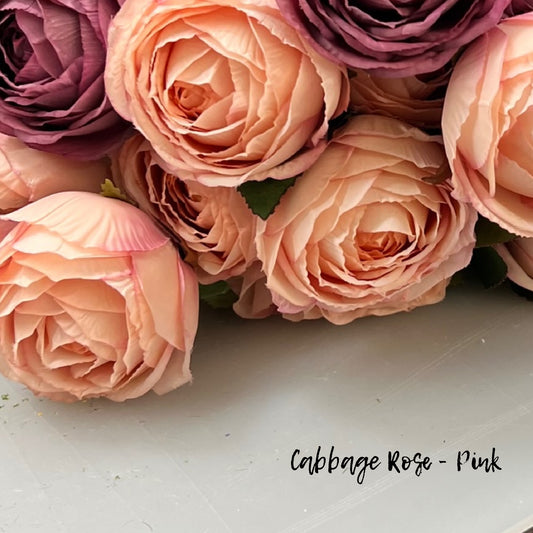 Cabbage Rose - Pink