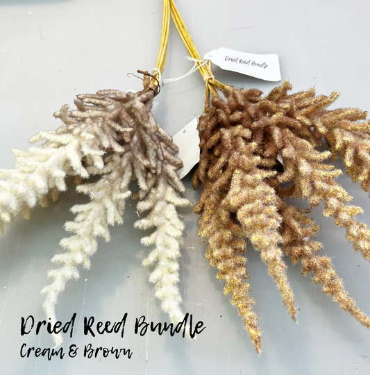 Dried Reed Bundle - Cream & Brown 19.5"