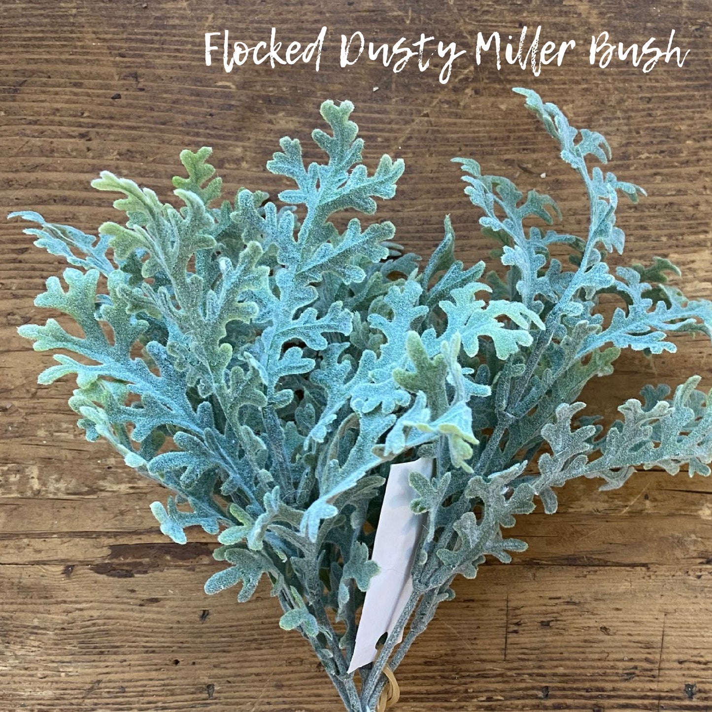 Dusty Miller Flocked Bush 10"