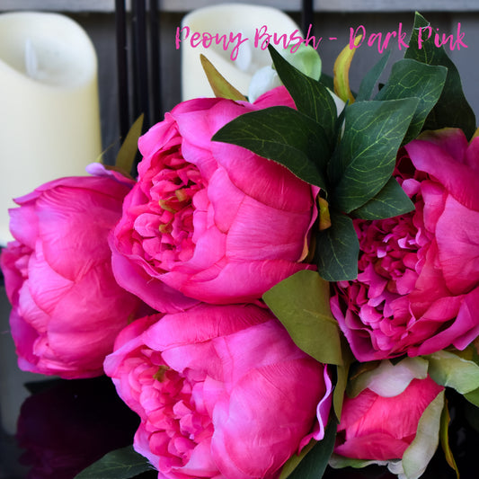 Peony Bush - Dark Pink 23"