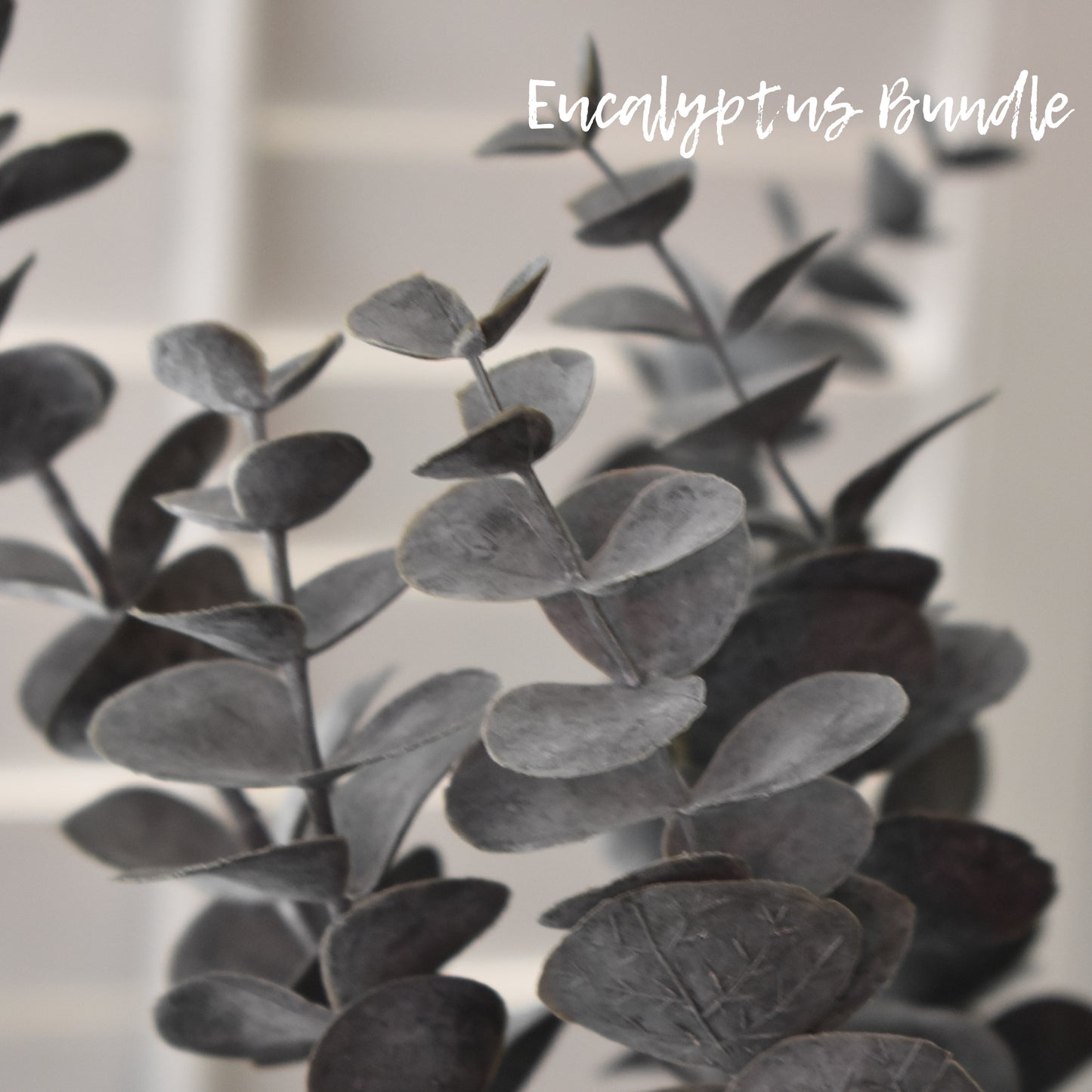 Eucalyptus Bundle 26"