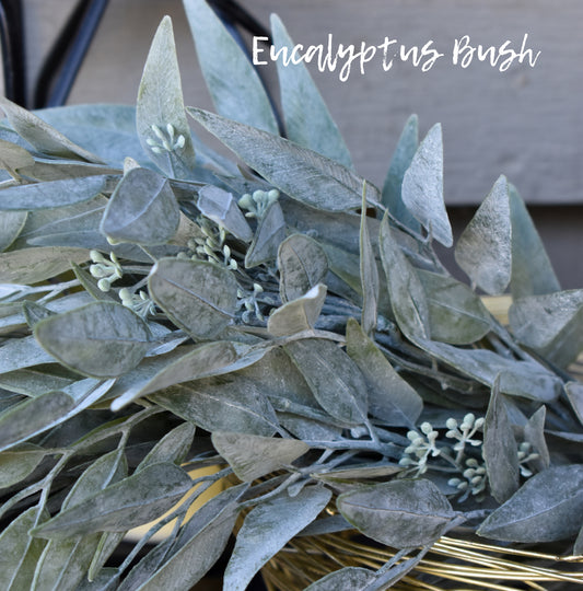 Eucalyptus Bush Grey/Green