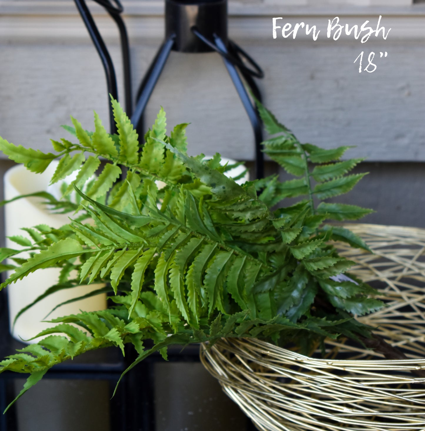 Fern Bush 18"