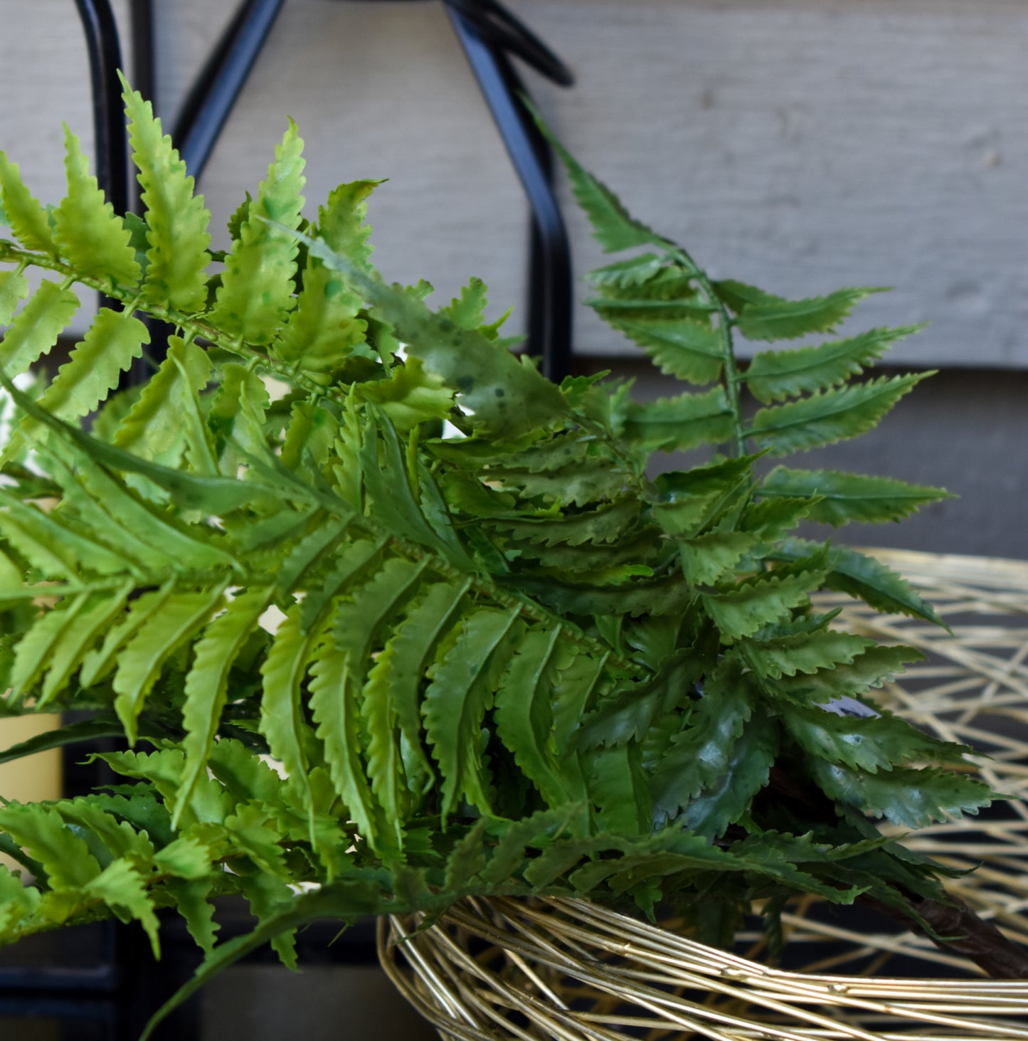 Fern Bush 18"