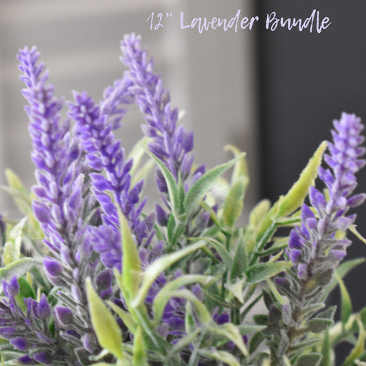 Lavender Bundle