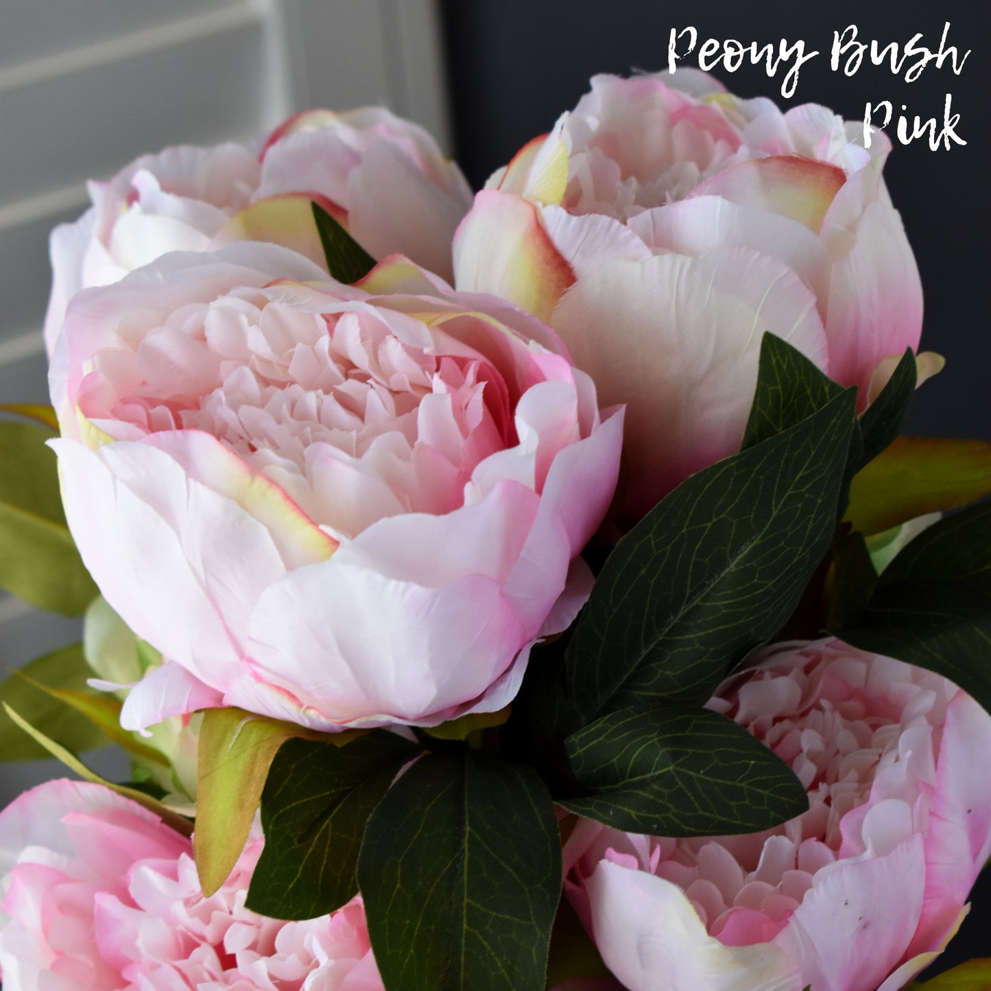 Peony Bush - Pink 23"