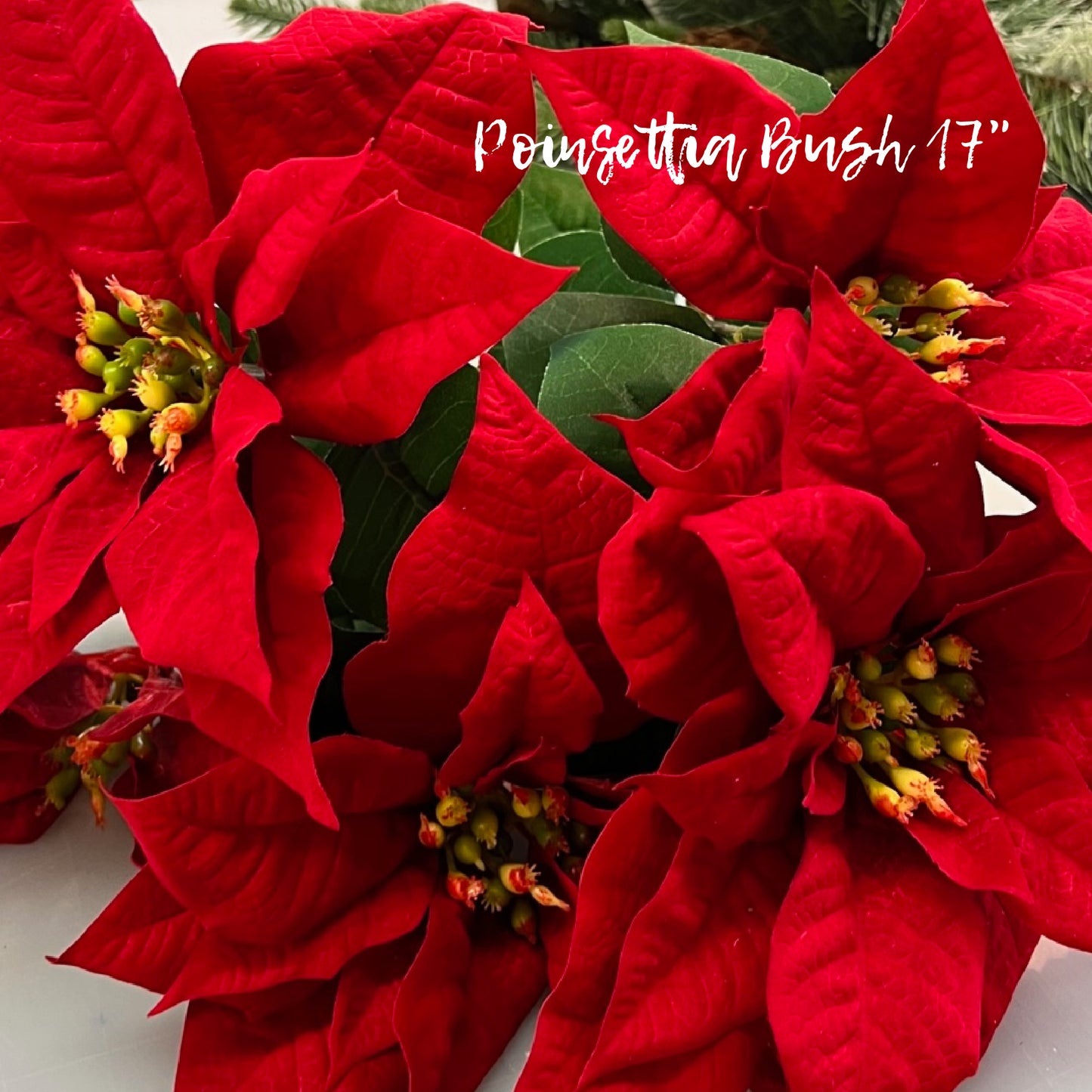 Poinsettia Bush - Red 17"