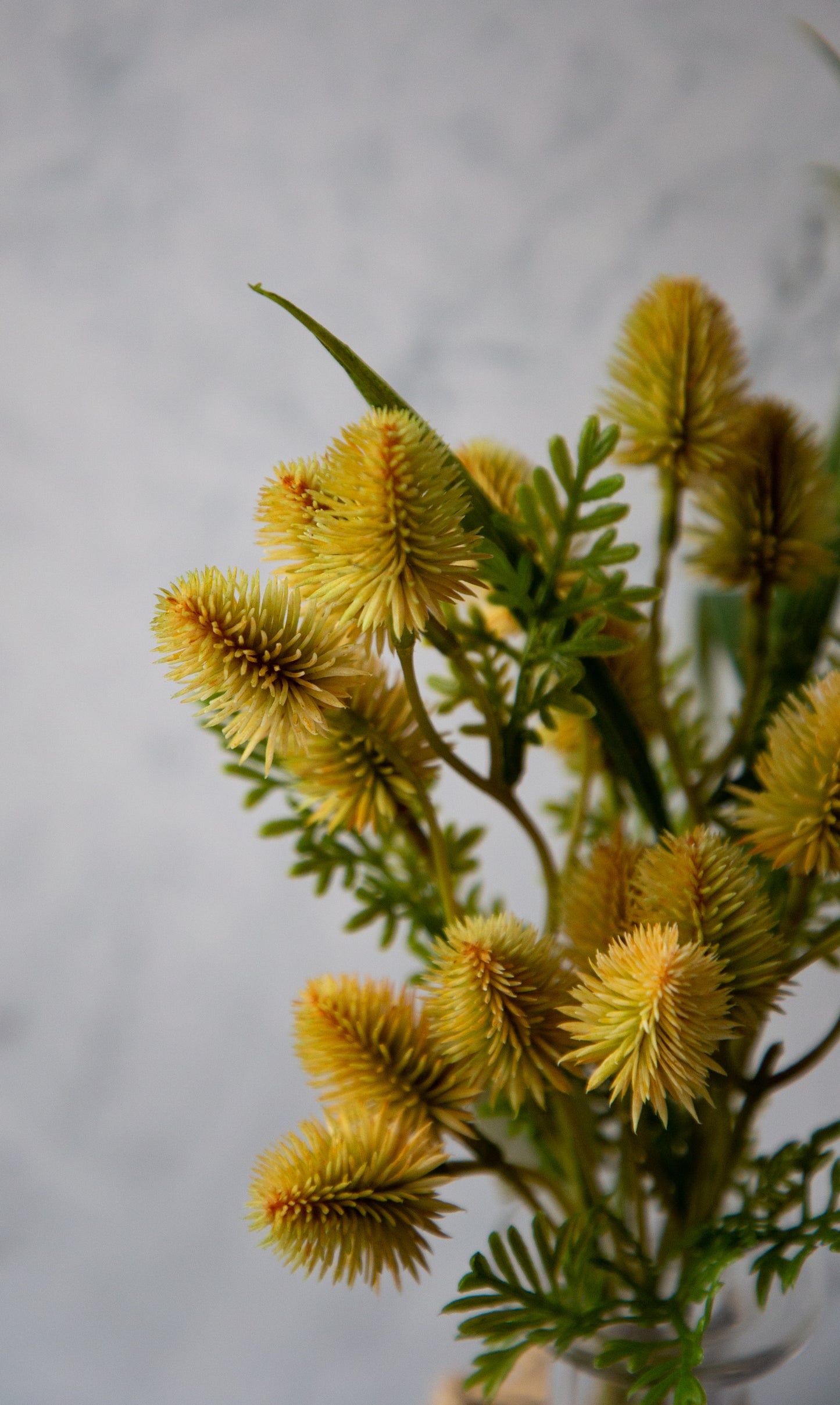 Bunny Tails Ball Leaves Bundle - 5 Colors