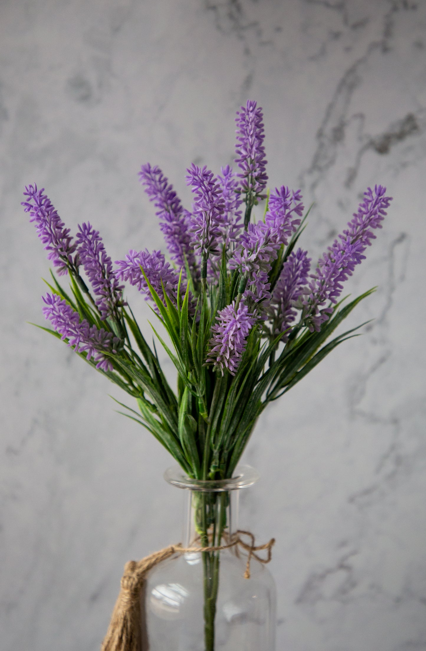 Lavender Bush