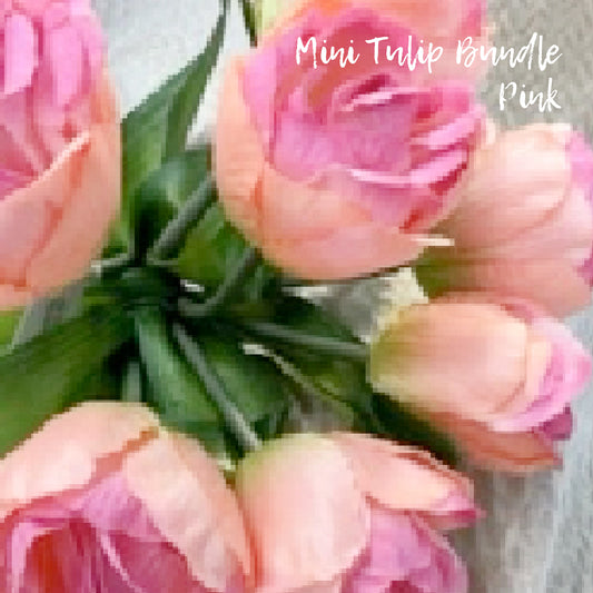 Tulip Mini Bundle - Pink