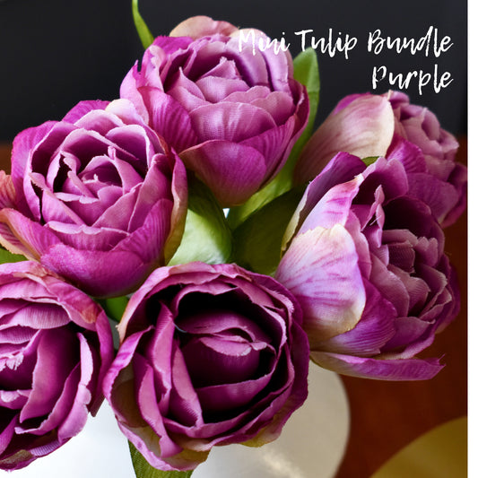 Tulip Mini Bundle - Violet