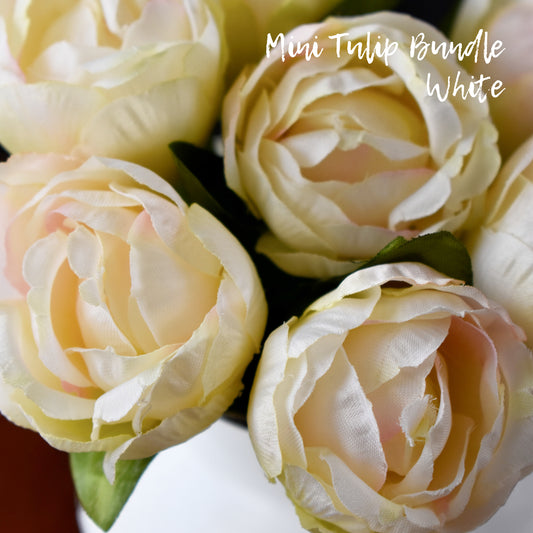 Mini Tulip Bundle - Cream/White