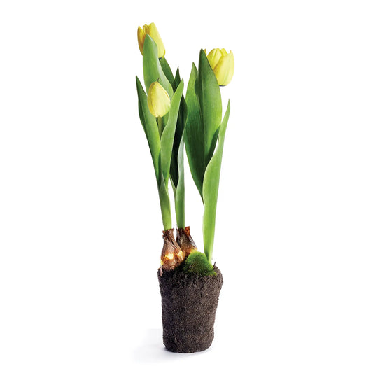 Tulip Yellow Drop-in 18"
