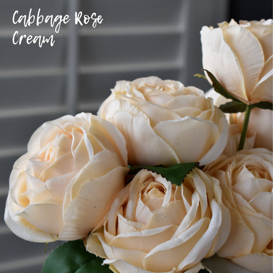 Cabbage Rose - Cream