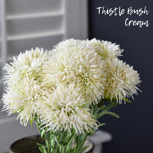 Thistle Bush - Cream