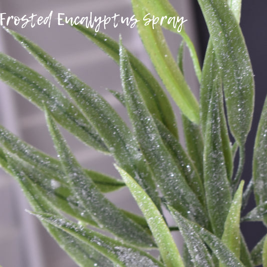 Eucalyptus Spray - Frosted 17"