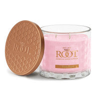 Root Beeswax Blend 3-Wick Candle