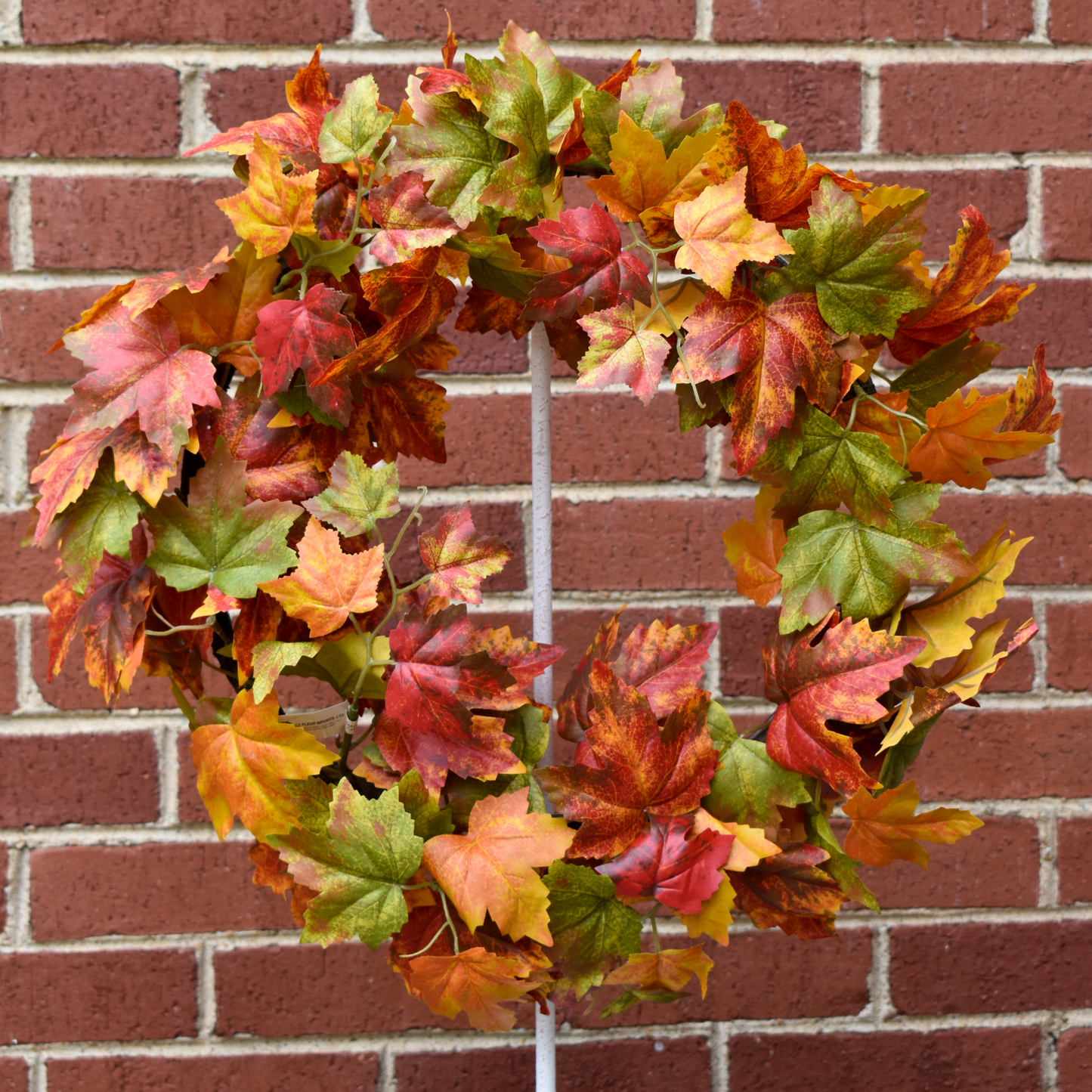 Maple Wreath - 20"