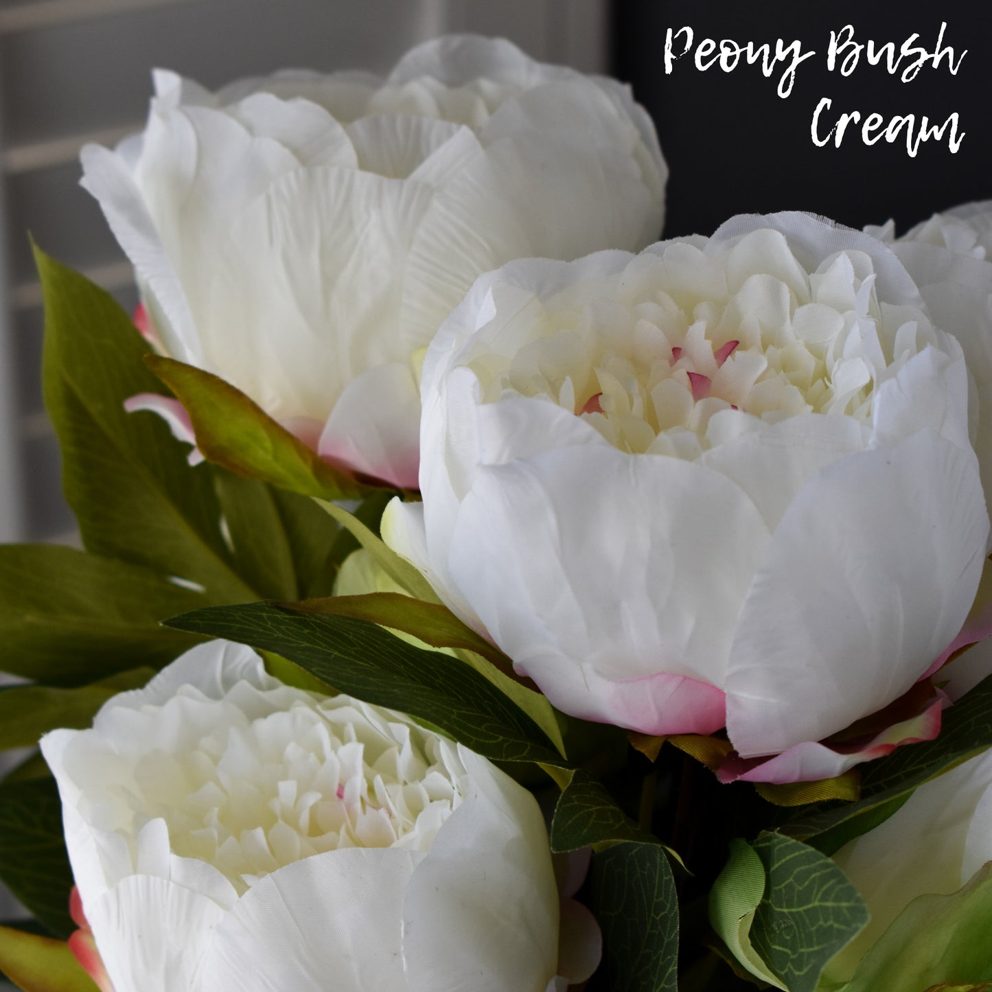 Peony Bush Cream-Pink/Cream 23"