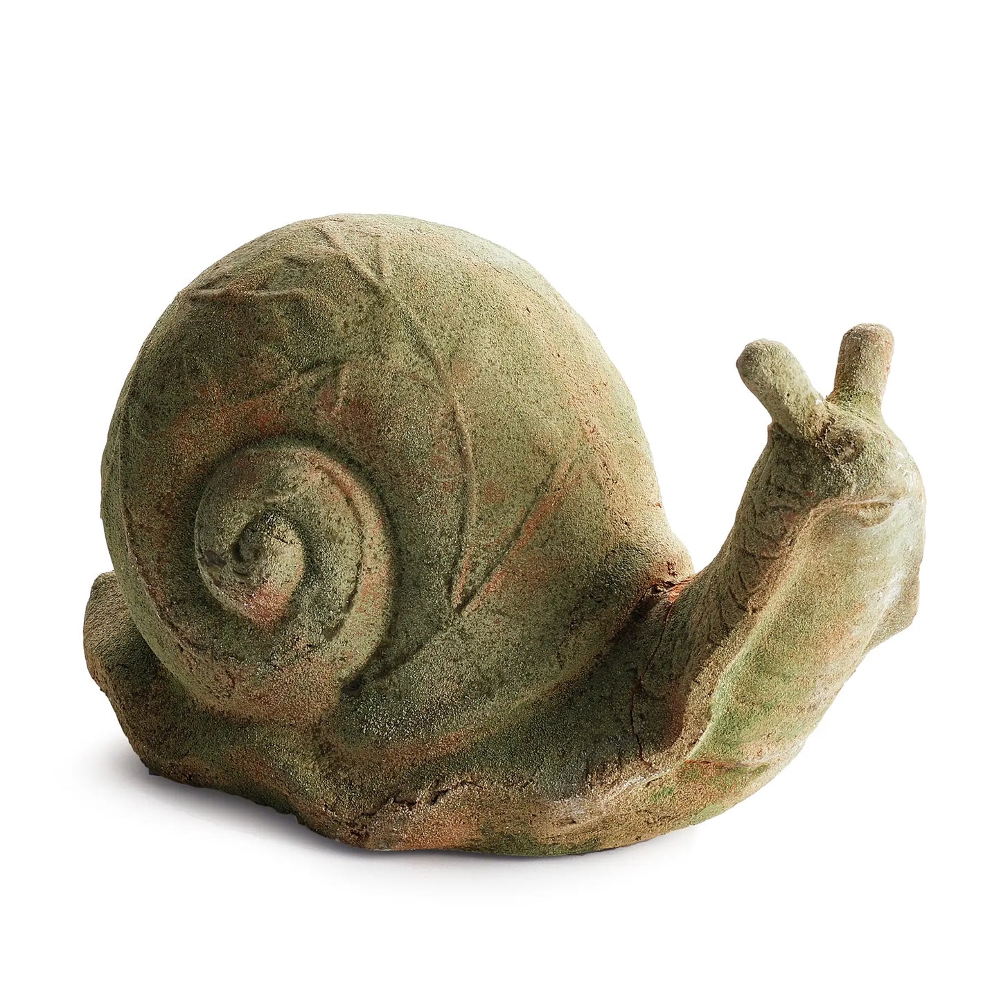 Weathered Garden Snail